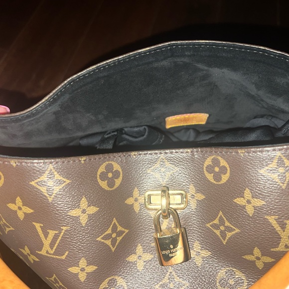 Beautiful Louis Vuitton Gaia. - Picture 2 of 13